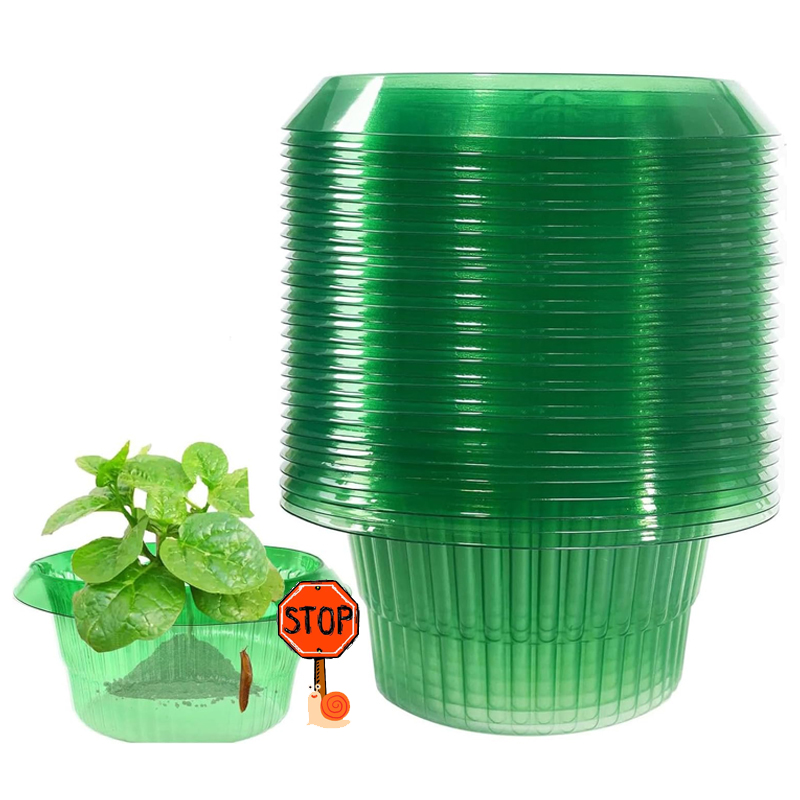 Plant Parents - 5-25 pezzi piante limace anelli di