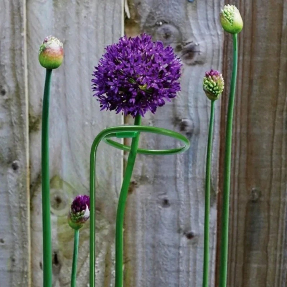 Nuovo Supporto in Metallo Anti - Plant Parent Tools recensione e prezzo