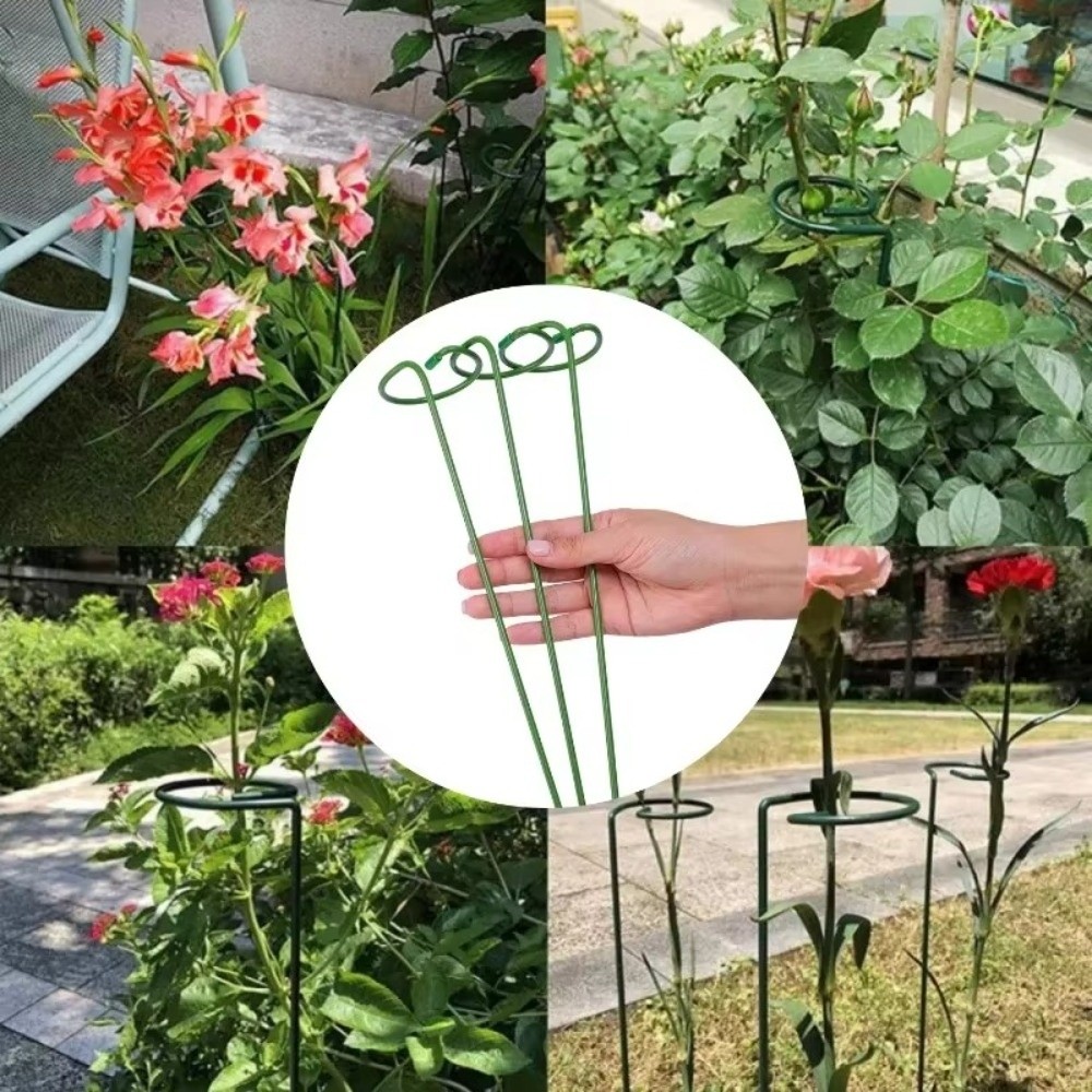 Nuovo Supporto in Metallo Anti - Plant Parent Tools recensione e prezzo