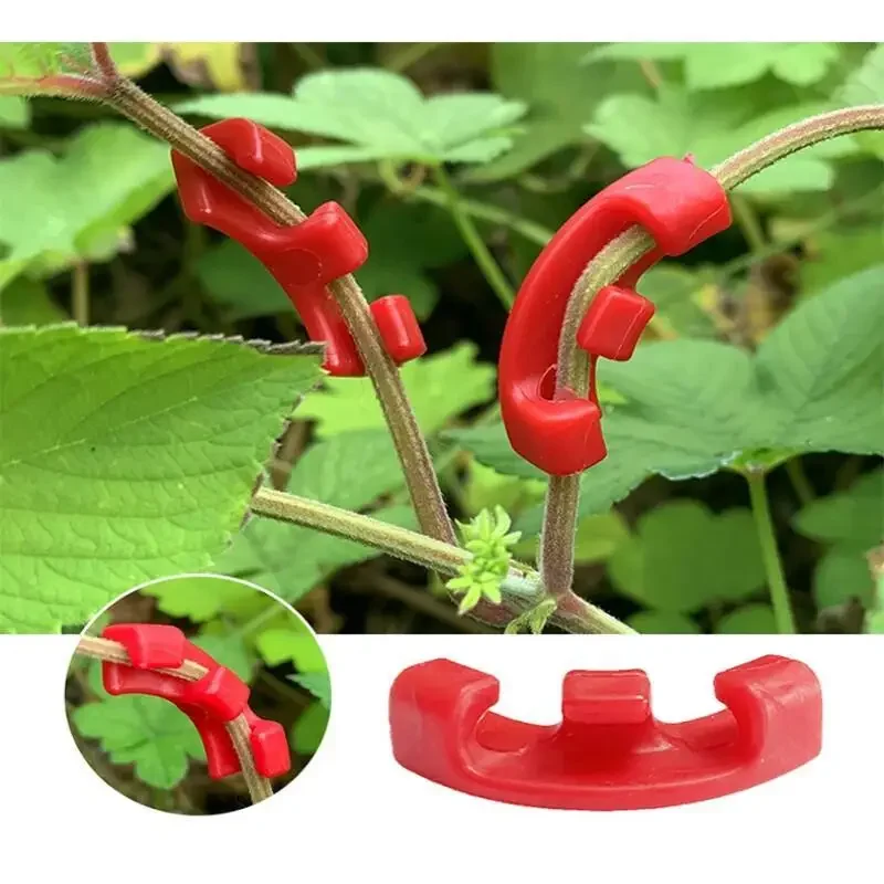 10-100 Pezzi Clip Piegatrici p - Plant Parent Tools recensione e prezzo