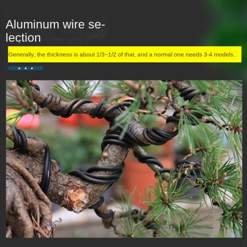 Filo per Bonsai in Alluminio,  - Plant Parent Tools recensione e prezzo