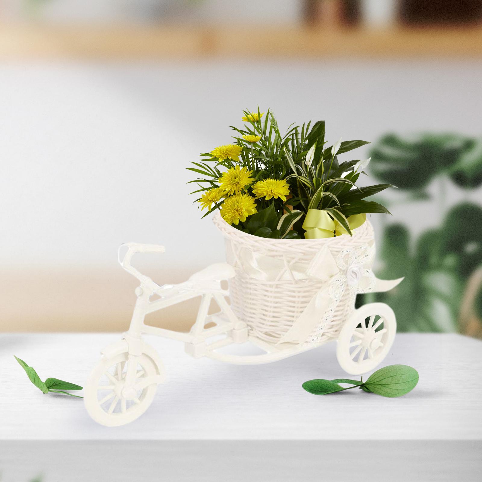 Vaso per cesto di fiori artifi - Plant Parents recensione e prezzo