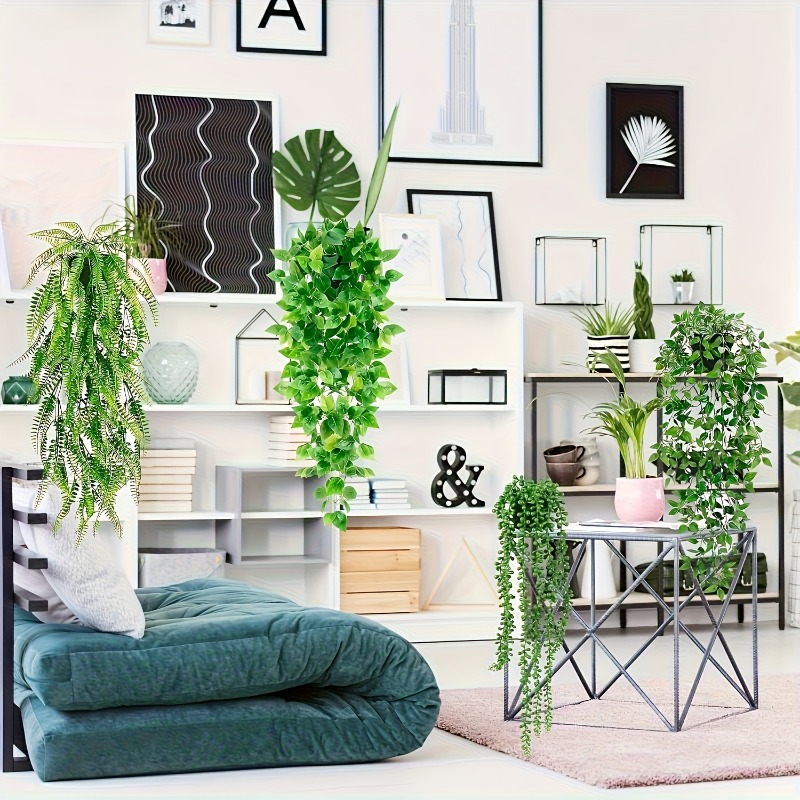 Set di 4 Piante Rampicanti Art - String Of Pearls Plant recensione e prezzo