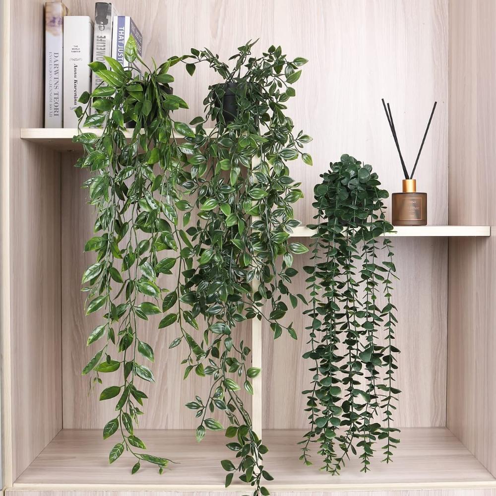 Piante artificiali sospese con - String Of Pearls Plant recensione e prezzo