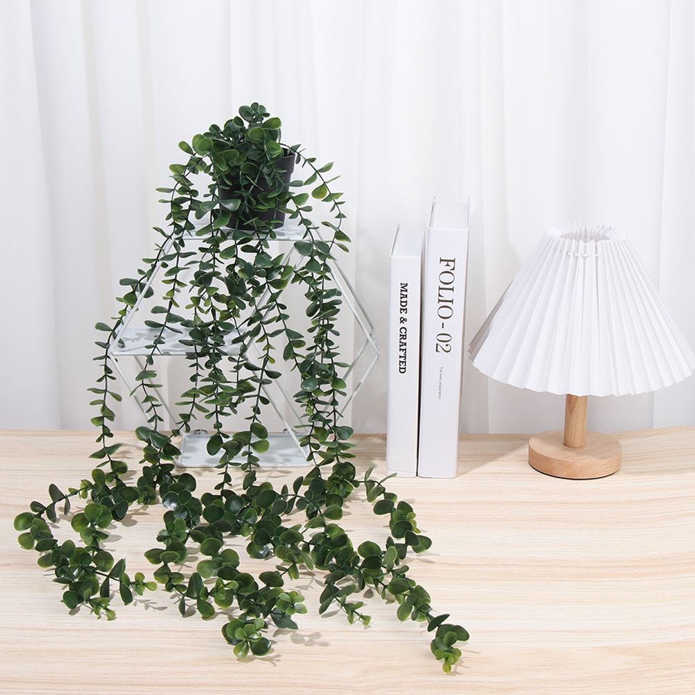 Piante artificiali sospese con - String Of Pearls Plant recensione e prezzo
