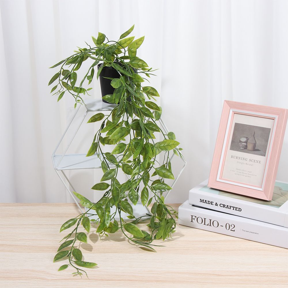 Piante artificiali sospese con - String Of Pearls Plant recensione e prezzo