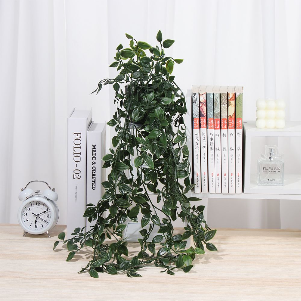 Piante artificiali sospese con - String Of Pearls Plant recensione e prezzo