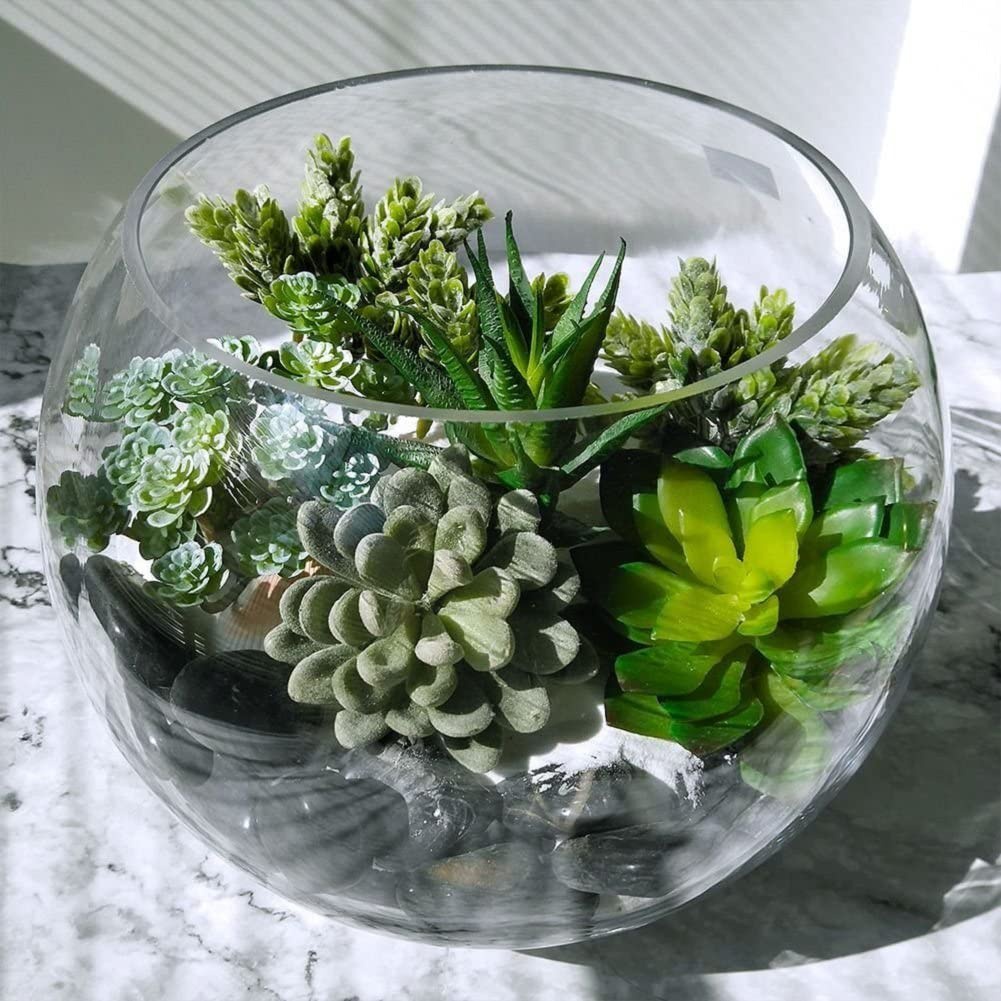 15 piante grasse artificiali d - String Of Pearls Plant recensione e prezzo