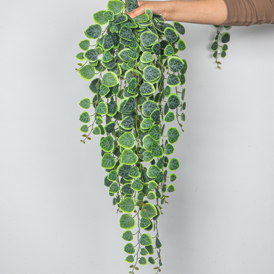 60-80 cm Artificiali Appesi Vi - String Of Pearls Plant recensione e prezzo