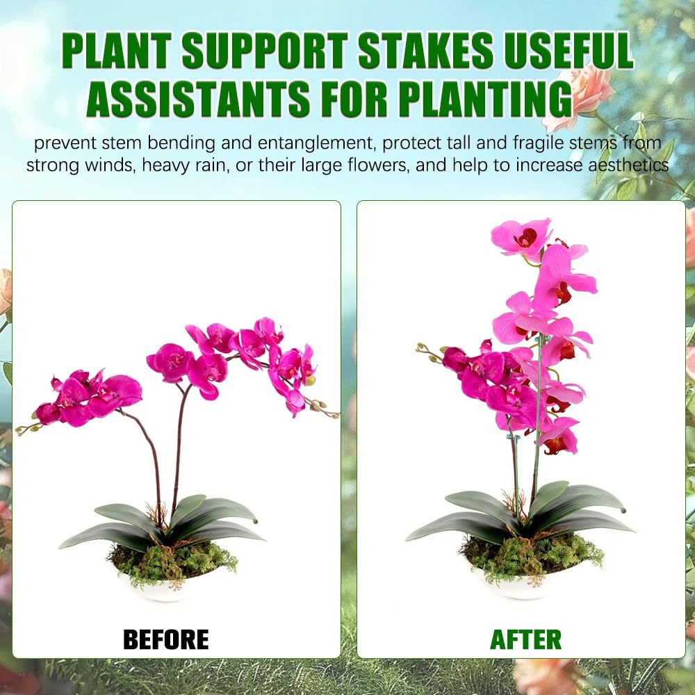 5/10PCS Pianta Supporti Stand  - Plant Parent Tools recensione e prezzo