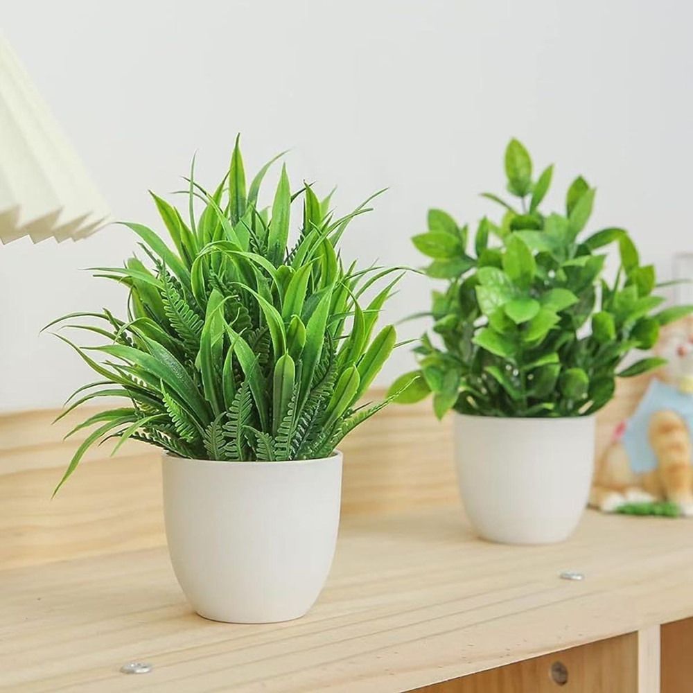 Set di 4 Mini Piante Artificia - String Of Pearls Plant recensione e prezzo