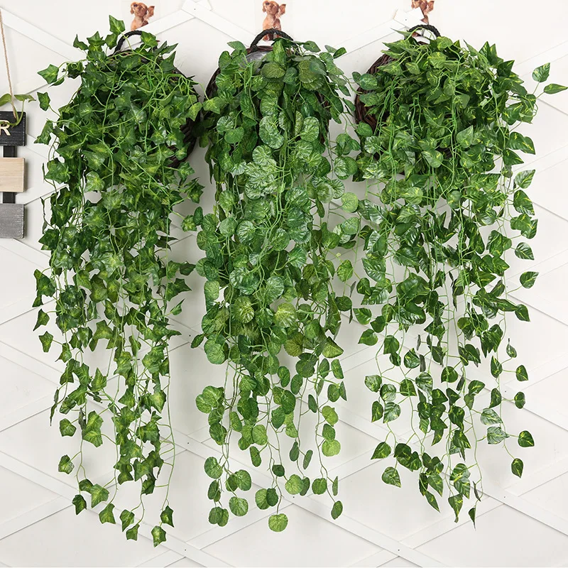 90cm artificiale ravanello ver - String Of Pearls Plant recensione e prezzo