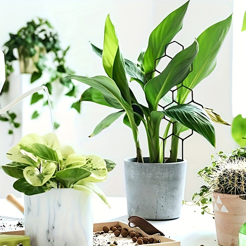 3 pezzi telaio di supporto per - Plant Parents recensione e prezzo