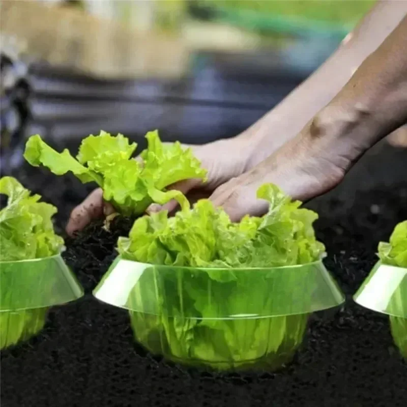 Anelli di protezione per lumac - Plant Parents recensione e prezzo