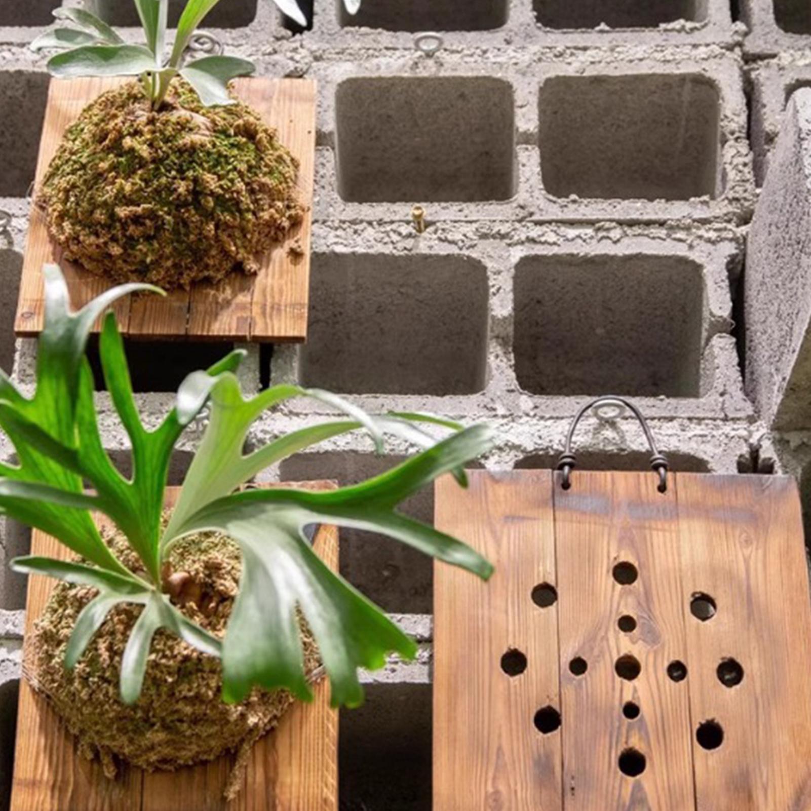 Kit Fioriera da Parete in Legn - Plant Parents recensione e prezzo