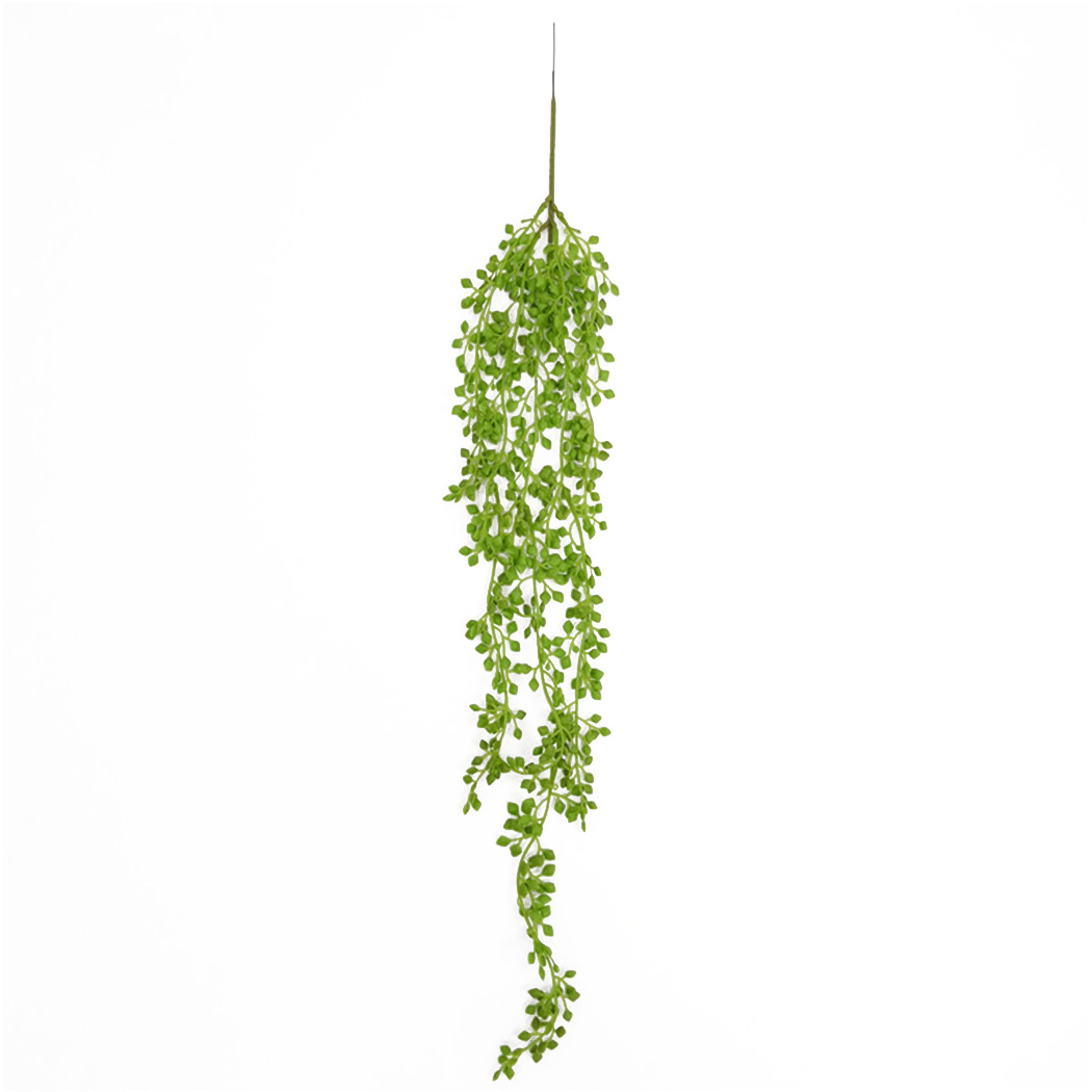 Pianta artificiale Viti Appeso - String Of Pearls Plant recensione e prezzo