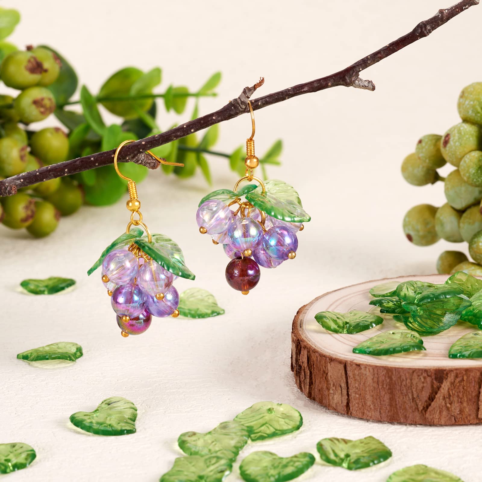 100 Pezzi di Perline a Forma d - String Of Pearls Plant recensione e prezzo