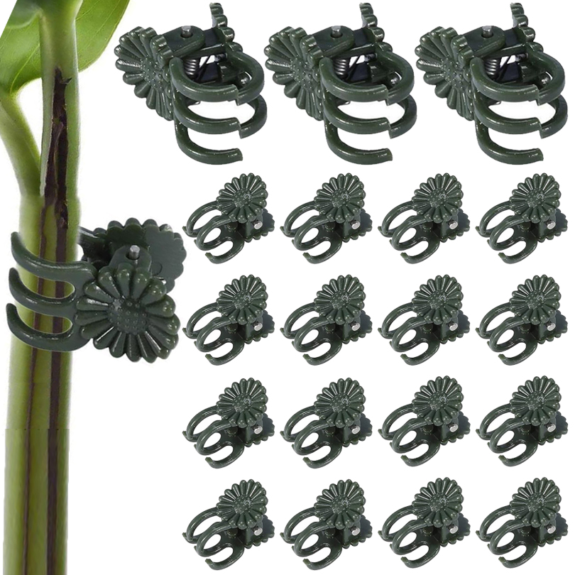 20/50/100 pz Clip per piante m - Plant Parent Tools recensione e prezzo