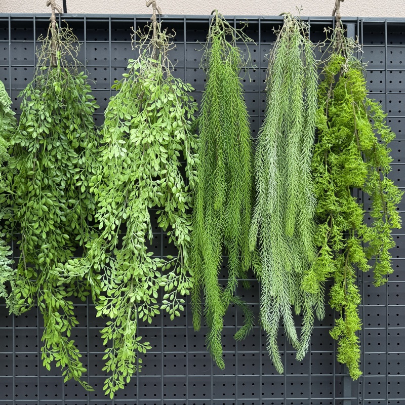 Viti sospese in plastica reali - String Of Pearls Plant recensione e prezzo