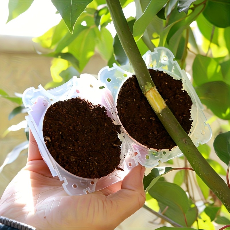 Kit da 10 Pezzi per Propagazio - Plant Parents recensione e prezzo